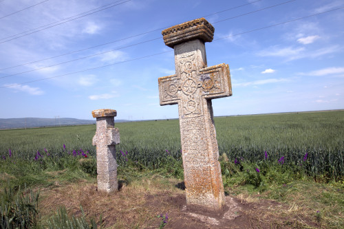 Cruce latină | Găgeni