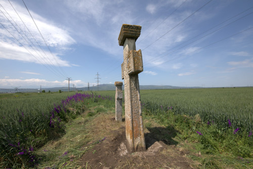 Cruce latină | Găgeni