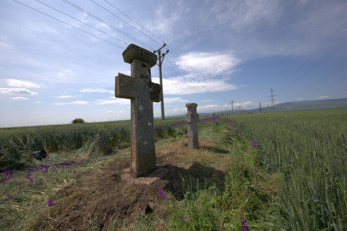 Cruce latină | Găgeni
