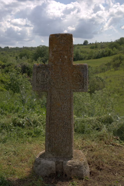 Cruce latină | Vispești