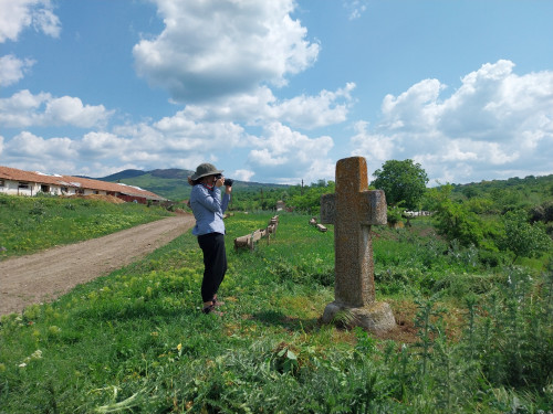 Cruce latină | Vispești