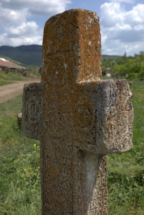 Cruce latină | Vispești