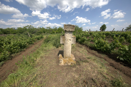 Cruce latină | Săhăteni