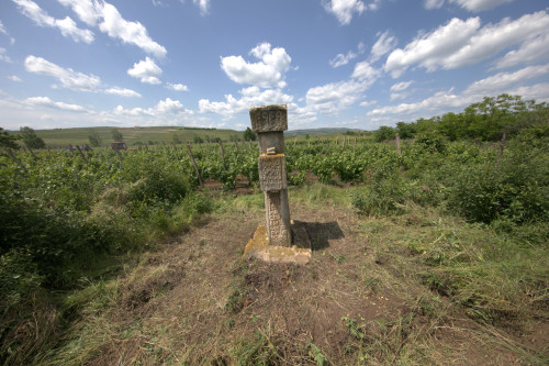 Cruce latină | Săhăteni