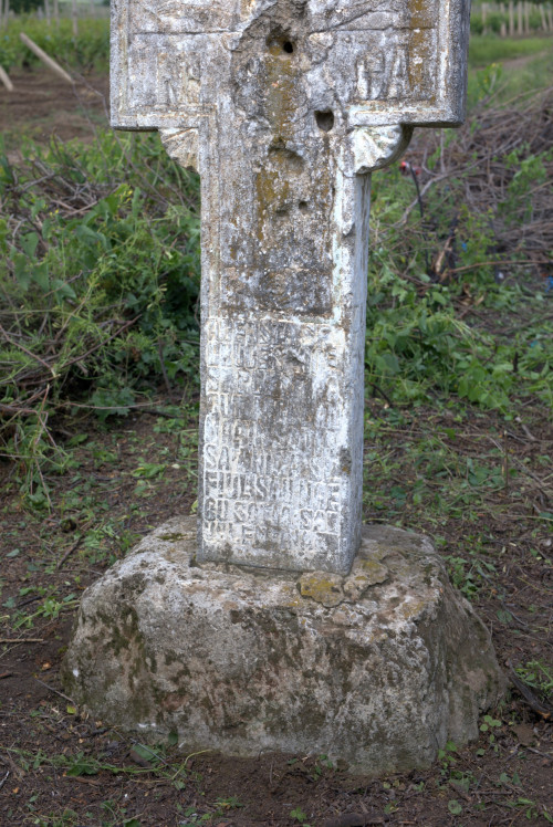 Cruce celtică | Săhăteni