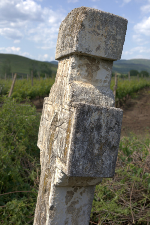 Cruce celtică | Săhăteni