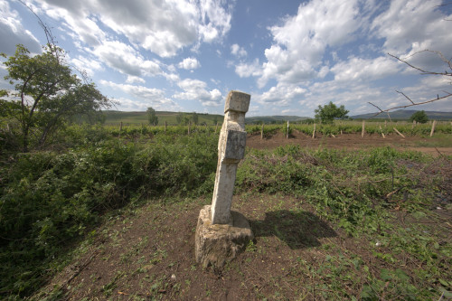 Cruce celtică | Săhăteni