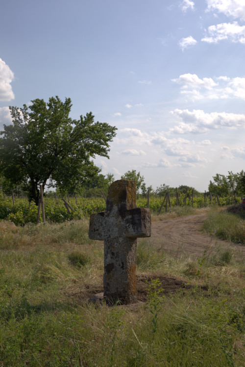 Cruce latină | Săhăteni