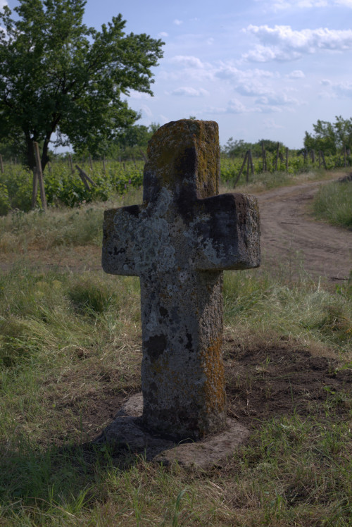 Cruce latină | Săhăteni