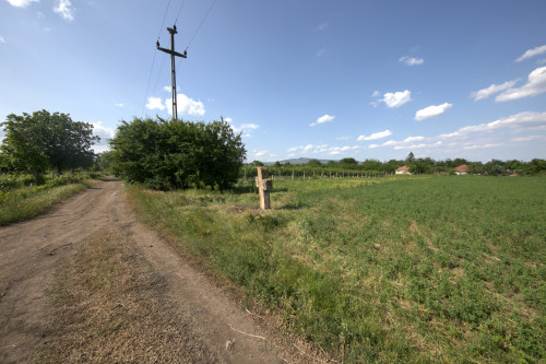 Cruce latină | Săhăteni