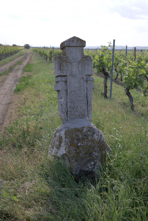 310 | SĂHĂTENI