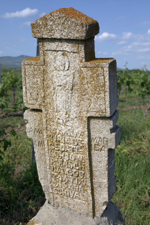Cruce cu pui | Săhăteni