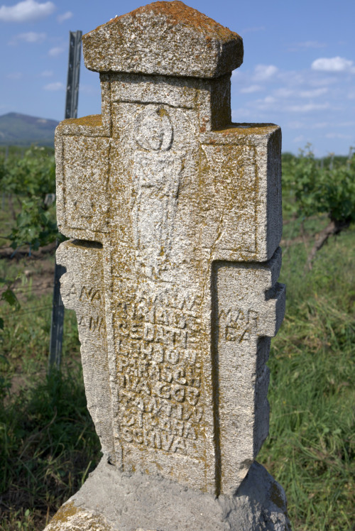 Cruce cu pui | Săhăteni