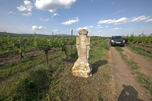 Cruce cu pui | Săhăteni