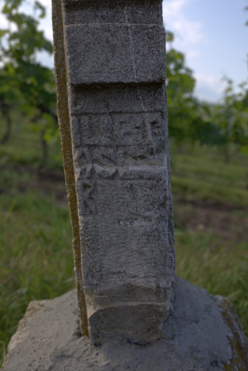 Cruce cu pui | Săhăteni