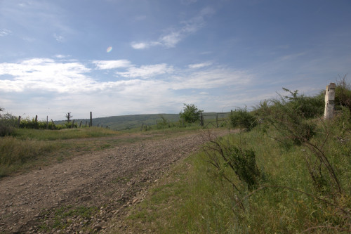 Cruce celtică | Proșca