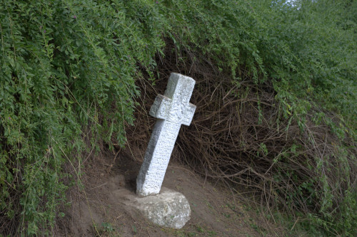 Cruce latină | Năeni