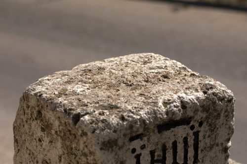 Cruce latină | Vispești