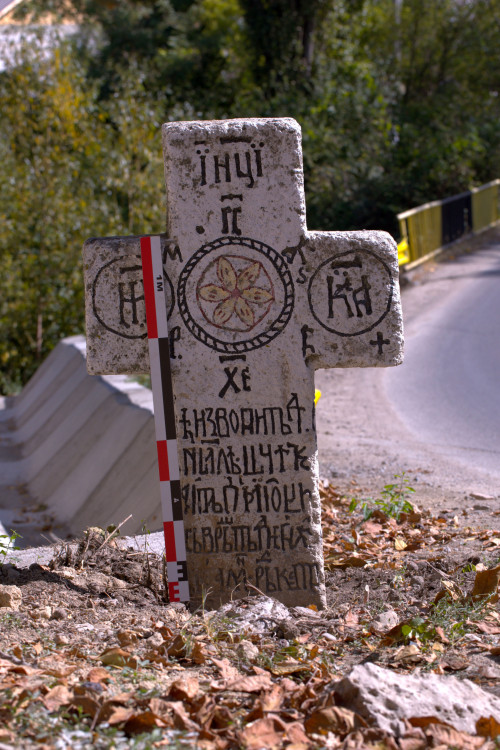 Cruce latină | Vispești