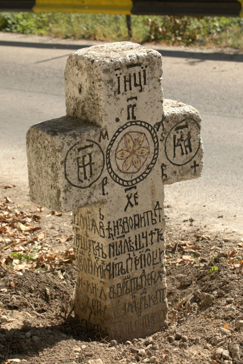 Cruce latină | Vispești