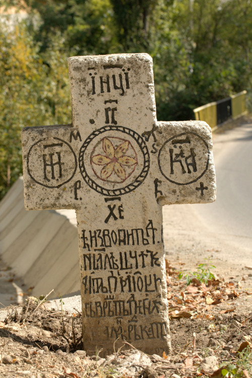 Cruce latină | Vispești