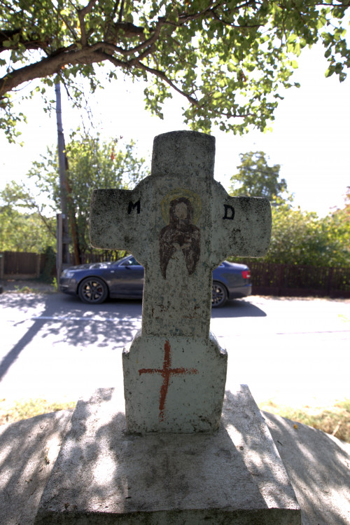 Cruce latină | Vispești