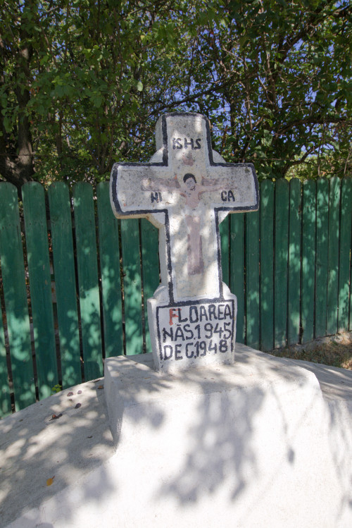 Cruce latină | Vispești