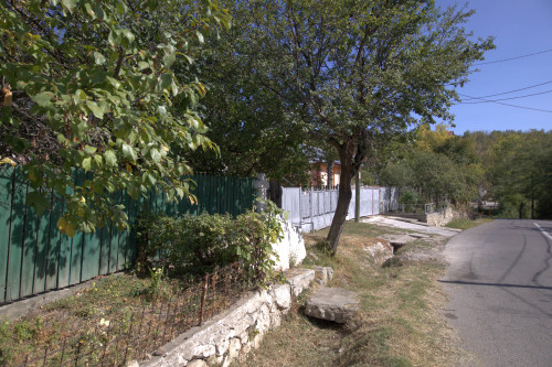 Cruce latină | Vispești