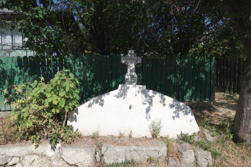 Cruce latină | Vispești