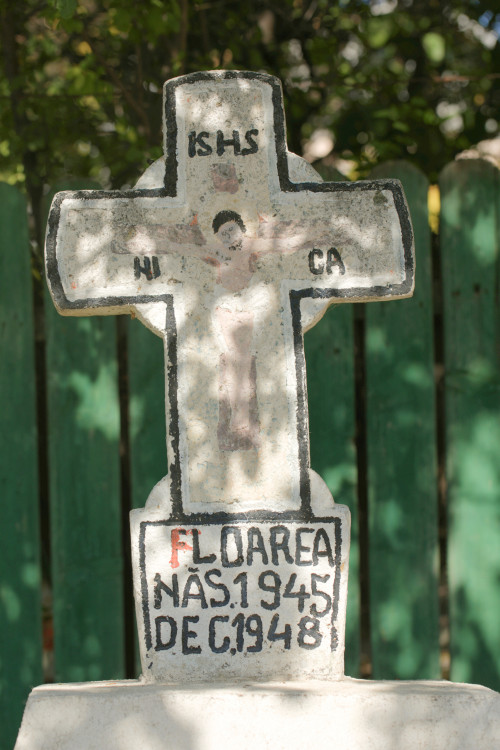 Cruce latină | Vispești
