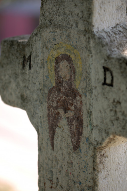 Cruce latină | Vispești
