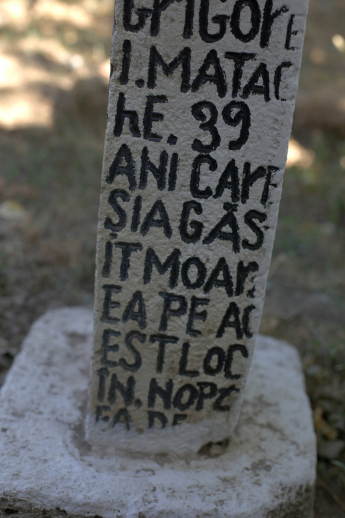 Cruce celtică | Vispești