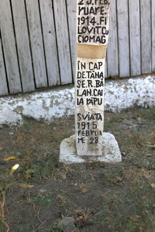 Cruce celtică | Vispești