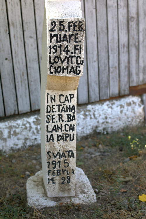 Cruce celtică | Vispești