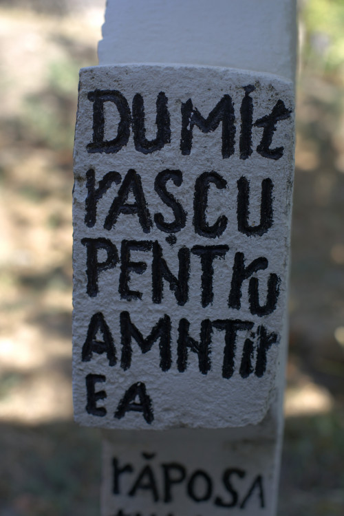 Cruce celtică | Vispești