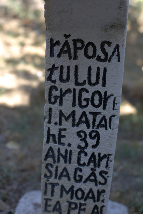 Cruce celtică | Vispești