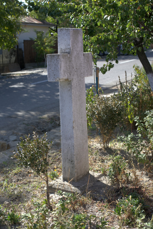 Cruce latină | Vispești