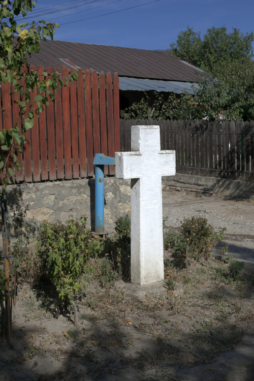 Cruce latină | Vispești
