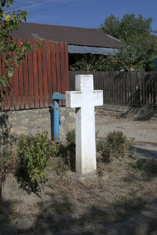 Cruce latină | Vispești
