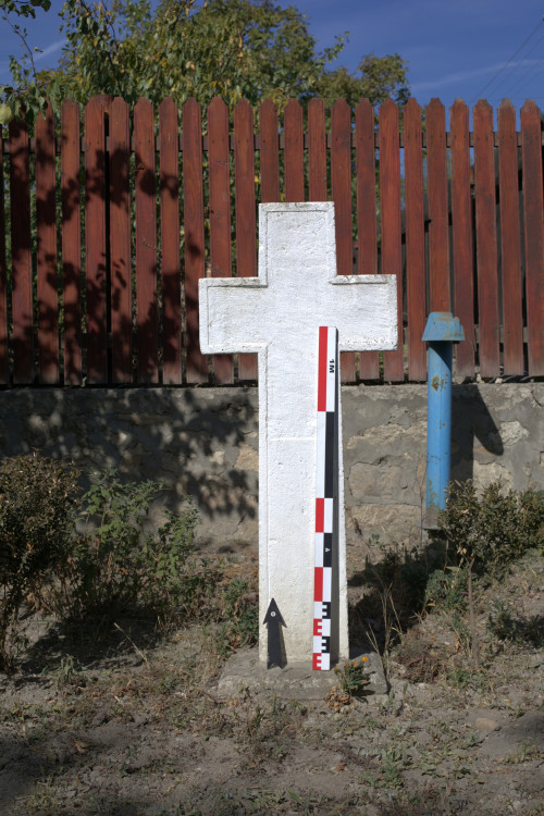 Cruce latină | Vispești