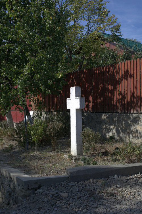 Cruce latină | Vispești