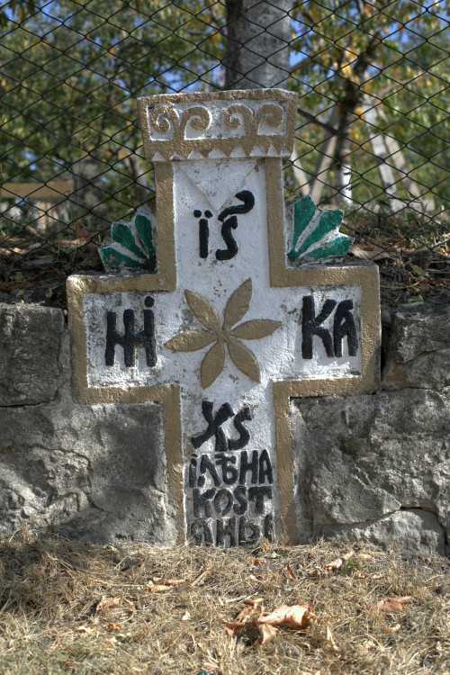 Cruce latină | Vispești