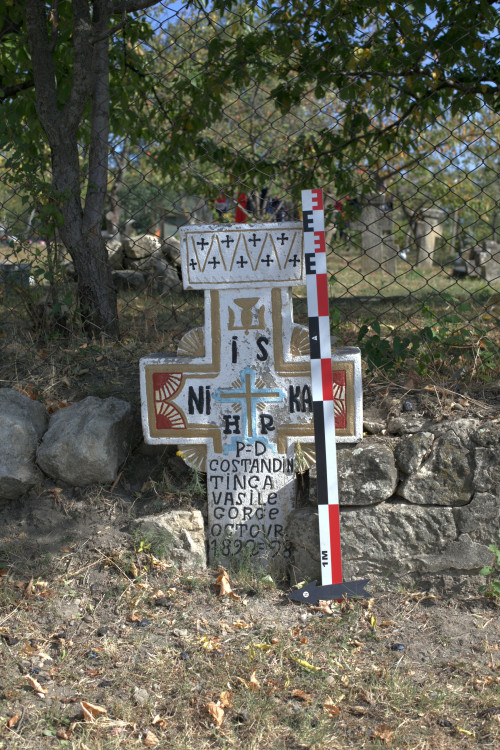 Cruce latină | Vispești