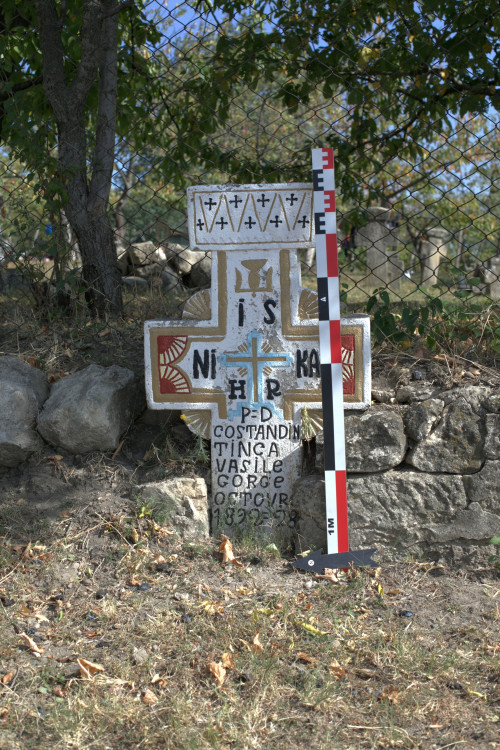 Cruce latină | Vispești