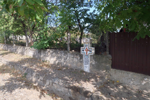 Cruce latină | Vispești