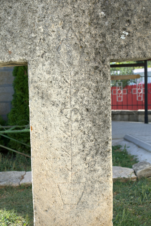 Cruce latină | Vispești