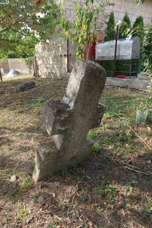 Cruce cu pui | Vispești