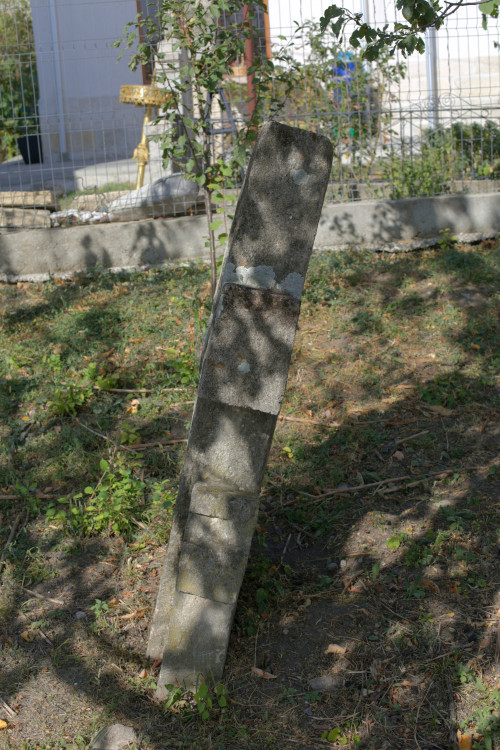 Cruce cu pui | Vispești