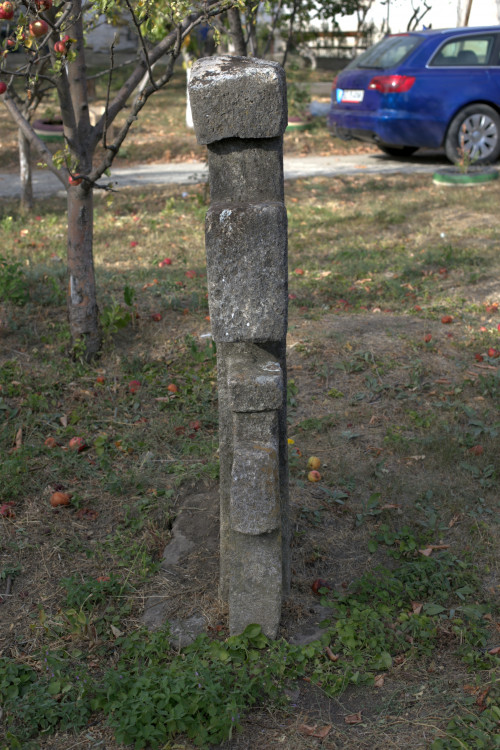 Cruce cu pui | Vispești