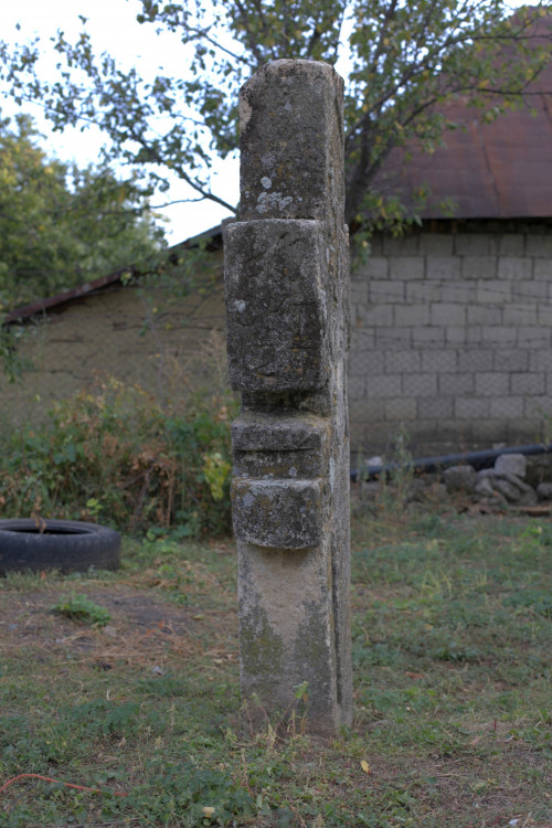 Cruce cu pui | Vispești